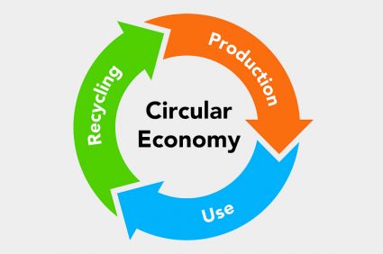 The Circular Economy in Construction